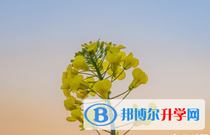 遂寧2022年中考網(wǎng)絡(luò)服務(wù)應(yīng)用平臺