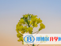 遂寧2022年中考網絡服務應用平臺