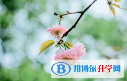 遂寧2022年中考網絡平臺