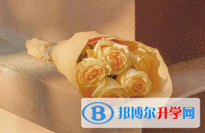 遂寧2022年中考網絡應用服務平臺
