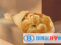 遂寧2022年中考網絡應用服務平臺