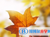 遂寧2022年中考網絡應用平臺