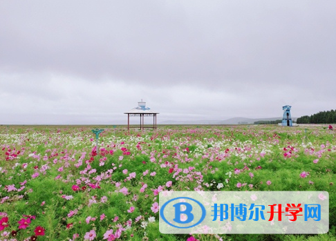 遂寧2022年中考網上報考信息平臺