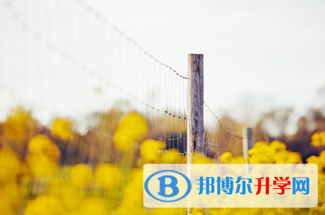 遂寧2022年中考網(wǎng)上報名系統(tǒng)