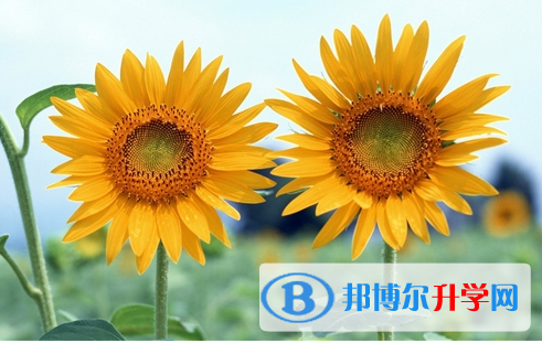 遂寧2022年中考網上查詢