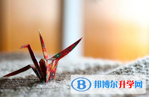 遂寧2022年中考重點復習資料