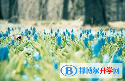 遂寧2022年中考重點線錄取