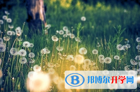 遂寧2022年中考自主招生報(bào)名