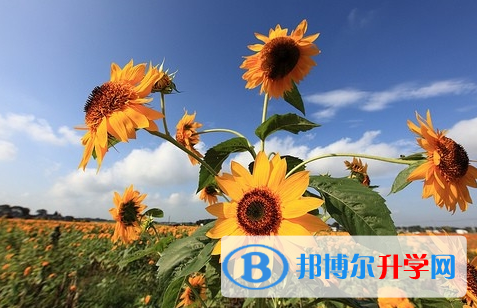 遂寧2022年今年中考哪些學(xué)校有招生