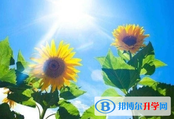 遂寧2022年中考的統招和調劑說明