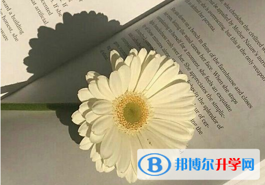 遂寧2022年中考各科高頻考點