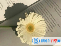 遂寧2022年中考各科高頻考點