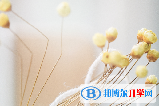 遂寧2022年中考體考標準