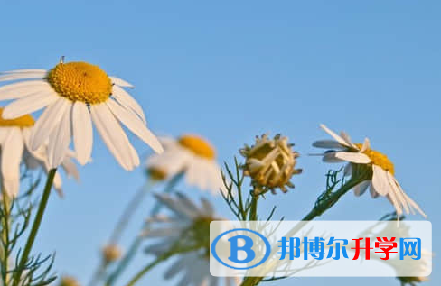 遂寧2022年中考重點(diǎn)復(fù)習(xí)