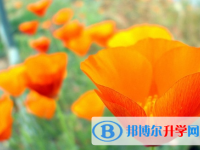 遂寧2022年中考準考證