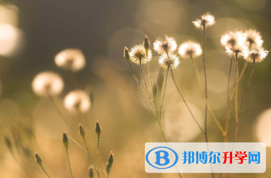 遂寧2022年中考沒考好可以復讀嗎