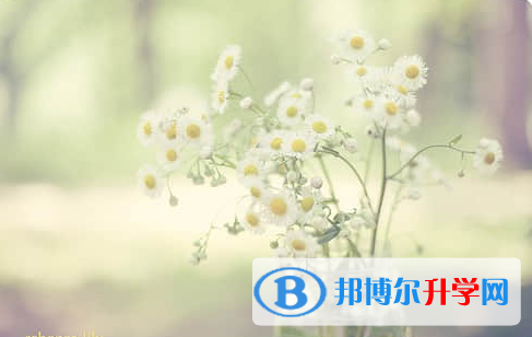 遂寧2022年中考沒有被學校錄取咋辦