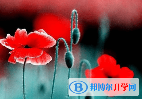 遂寧2022年中考緊張怎么辦