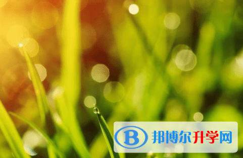 遂寧2022年中考后可以上什么學校