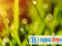 遂寧2022年中考后可以上什么學校