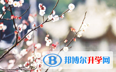 遂寧2022年什么時候中考