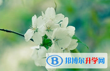 遂寧2022年什么是中考調劑生