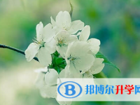 遂寧2022年什么是中考調劑生