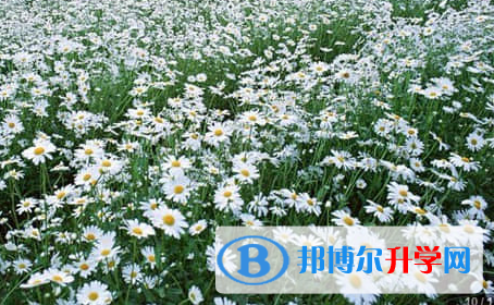 遂寧2022年未參加中考可以讀啥學校
