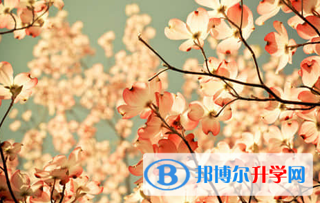遂寧2022年好多號(hào)中考