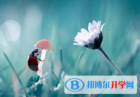 遂寧2022年中考報名是哪個網站