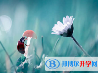 遂寧2022年中考報名是哪個網站