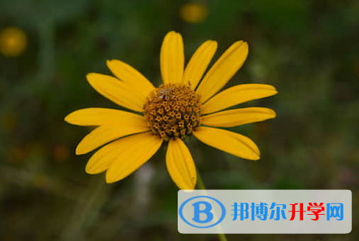 遂寧2022年中考報名網站登錄