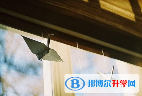 遂寧2022年中考網絡應用服務平臺登錄