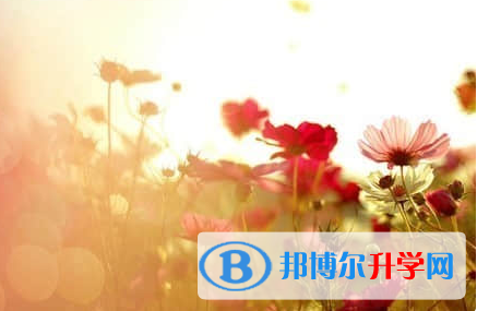 遂寧2022年中考網上志愿如何打印