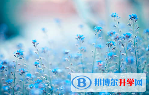 遂寧2022年中考報名志愿