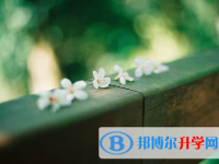 遂寧2022年中考調劑志愿是什么意思