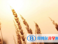 遂寧2022年中考怎么填志愿才可以上到好的學校