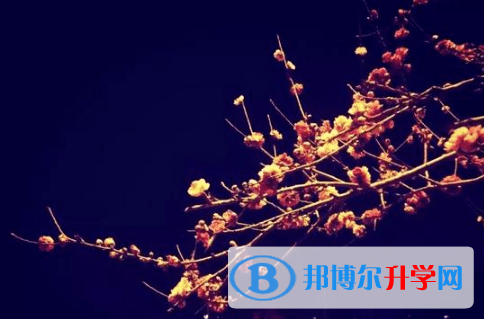 遂寧2022年中考志愿填報網址