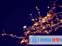 遂寧2022年中考志愿填報網址