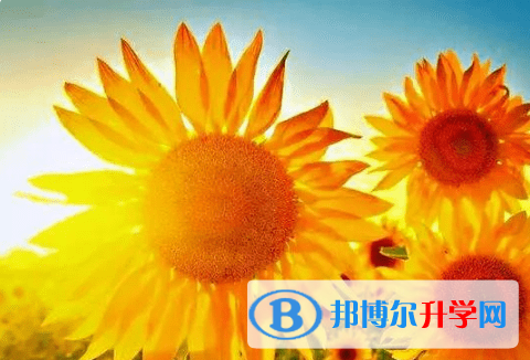 內江2022年查詢中考成績