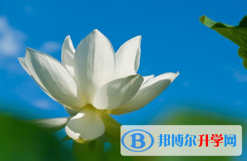 內江2022年如何查詢中考成績單