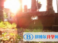 內(nèi)江2022年怎樣從網(wǎng)上查詢中考成績