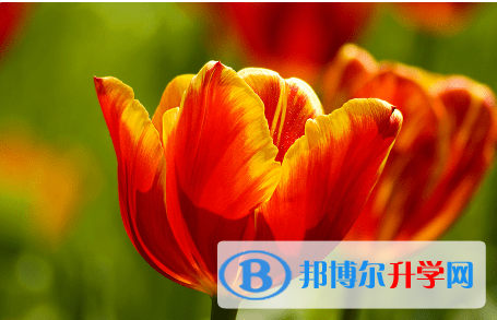 內(nèi)江2022年怎樣對待中考成績