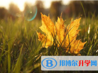 內(nèi)江2022年中考報(bào)名查詢