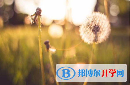 內(nèi)江2022年中考查詢成績(jī)