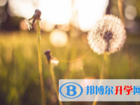 內(nèi)江2022年中考查詢成績