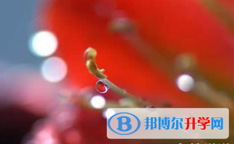 內(nèi)江2022年中考查詢總成績