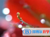 內(nèi)江2022年中考查詢總成績