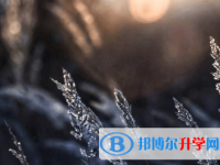 內(nèi)江2022年中考成績查詢方法