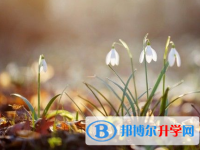 2022年內(nèi)江中考成績查詢系